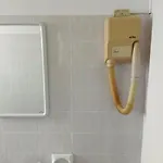 Elsa 3* Milano Marittima